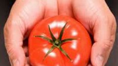 Как правильно сохранить помидоры