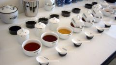Как правильно дегустировать чай