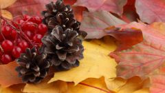 Какие поделки можно сделать из природного материала на тему осень