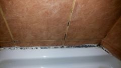 Как справиться с плесенью в ванной комнате
