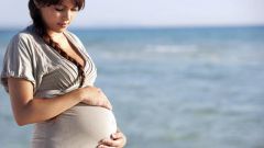 Что такое лихорадка Зика, чем она опасна для беременных
