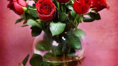 How to grow a rose from a bouquet of two ways