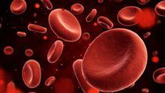 Как улучшить циркуляцию крови в организме