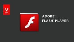 How to enable flash player