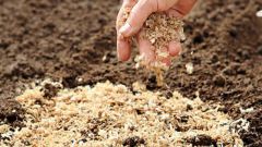 How to make compost with sawdust