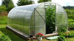 The establishment of greenhouses