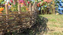 Landscaping: fence