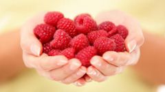 The benefits and harms of raspberry
