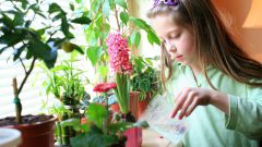 Как с ребенком обустроить огород на подоконнике