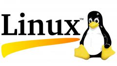 Особенности ОС Linux 