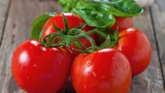 Как выращивать томат сорта "Красная шапочка"