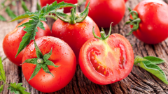 Лучшие сорта помидоров для посадки на дачном участке: «Ляна»