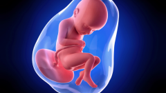 32 недели беременности: ощущения, развитие плода