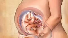 35 недель беременности: ощущения, развитие плода