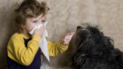 Аллергический кашель: симптомы, лечение у детей и взрослых 