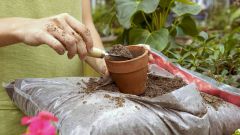 Как улучшить почвогрунт