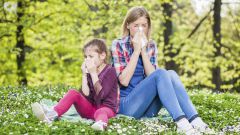 9 продуктов, которые помогут справиться с сезонной аллергией