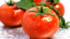 Почему нужно есть свежие помидоры