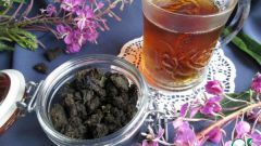 Как приготовить копорский иван-чай