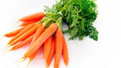 Когда сеют морковь на ранний пучок
