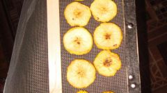 Как сушить яблоки, фрукты и овощи с помощью батареи