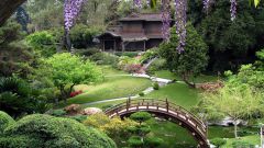 Как создать японский сад