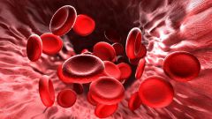 Как быстро разжижить кровь в домашних условиях