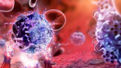 Нарушения иммунной системы: методы диагностики и лечения
