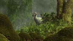 Птица додо: история истребления