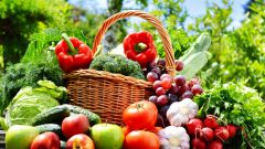 Чем подкормить овощные культуры во время плодоношения: универсальное народное средство