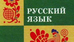 Словосочетания существительного с существительным в русском языке: примеры