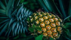 Использование ананаса в магии и его польза для здоровья