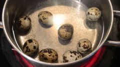 Как варить перепелиные яйца вкрутую