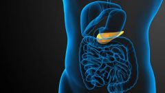 Аберрантная поджелудочная железа: диагностика, симптомы и лечение