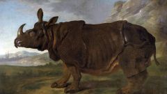 Самый знаменитый носорог 18 века