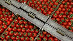 Почему Россия ввела запрет на ввоз томатов и яблок из Азербайджана