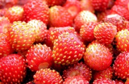 Земляника – одна из лучших ягод, используемая для приготовления варенья