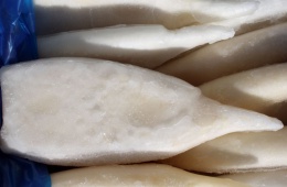 Замороженный кальмар от «Санта Бремор» - отличный полуфабрикат высокого качества