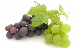 Виноградные ягоды – это очень вкусный продукт, богатый фруктозой