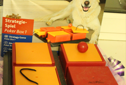 Trixie Развивающая игрушка для собак "Poker Box"