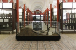 Нижний зал музея
