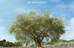 Отличный способ побаловать свое  лицо и тело