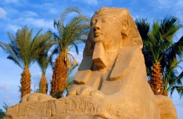 Поездка в Египет: если дома плохо кормят, а Геленджик уже надоел