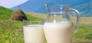 Каое молоко полезней: коровье или козье