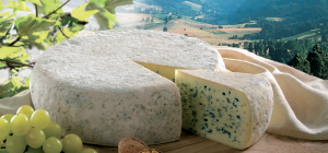 Как выбрать сыр с плесенью