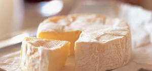 Какие блюда можно готовить из мягкого сыра