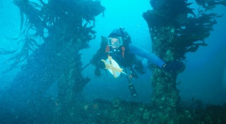 Как сделать подводную камеру