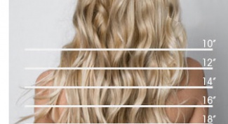 How to determine the length of the hair