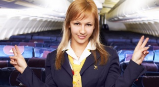 How to get a flight attendant