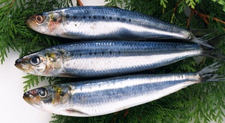 How to keep herring